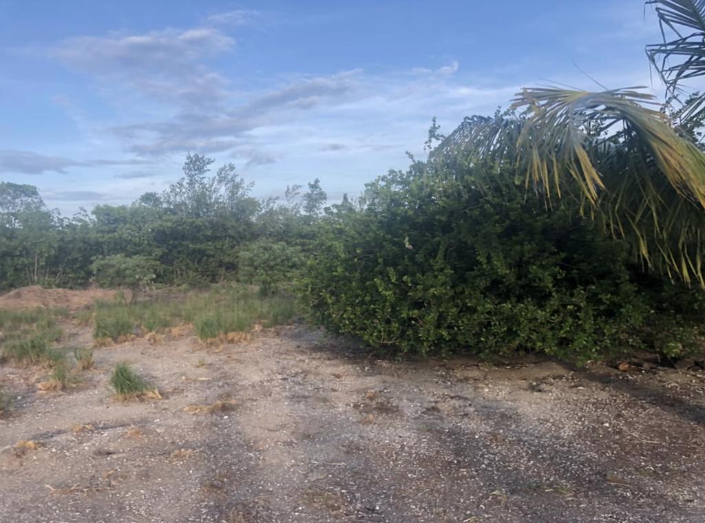 listing image with ID 94771