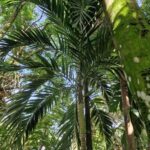 listing image thumbnail with ID 103443
