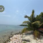 listing image thumbnail with ID 101834