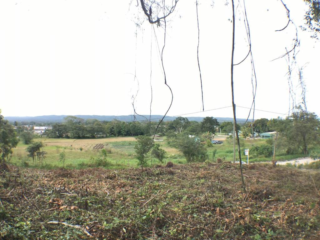 listing image with ID 79589