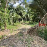listing image thumbnail with ID 90247