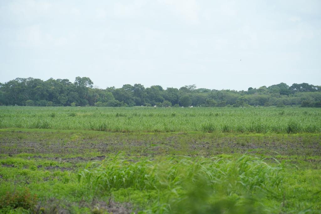 listing image with ID 103249