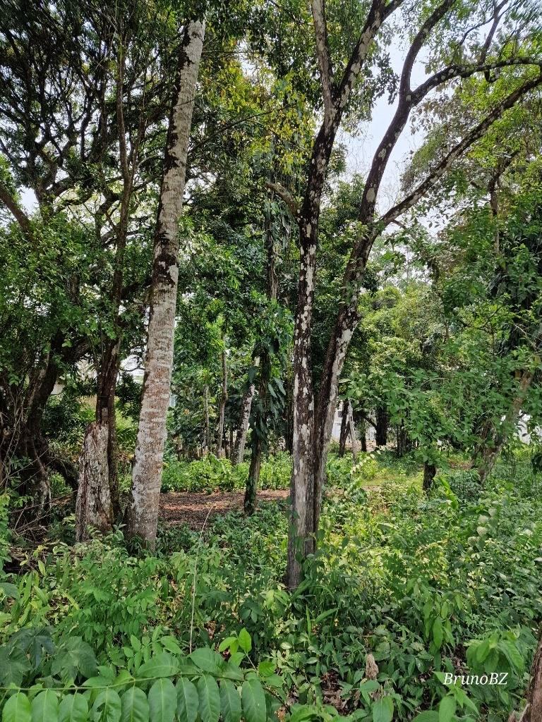 listing image with ID 88507