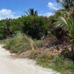 listing image thumbnail with ID 96783