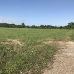 listing image thumbnail with ID 102126