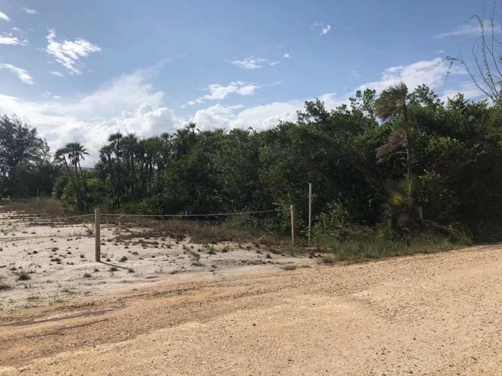 listing image with ID 74609