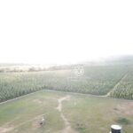 listing image thumbnail with ID 82236