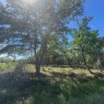 listing image thumbnail with ID 106085