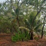 listing image thumbnail with ID 101611