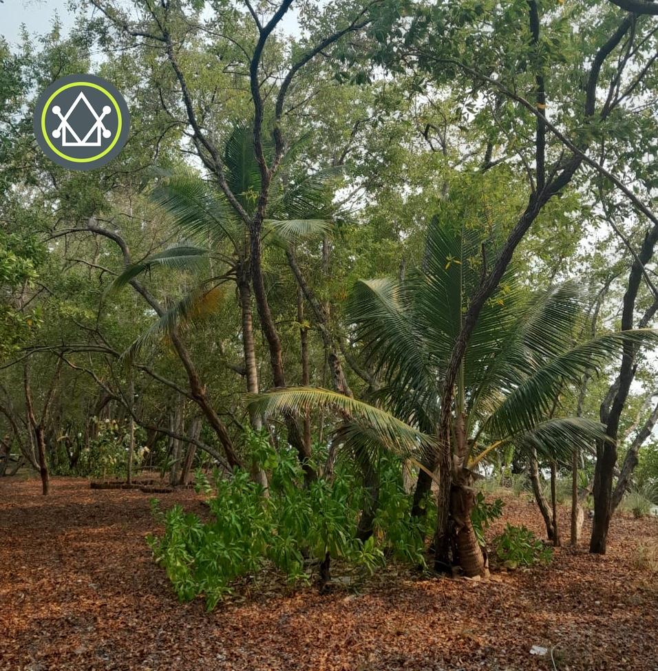 listing image with ID 101611
