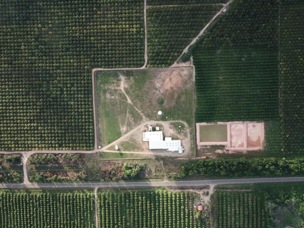 listing image with ID 91797