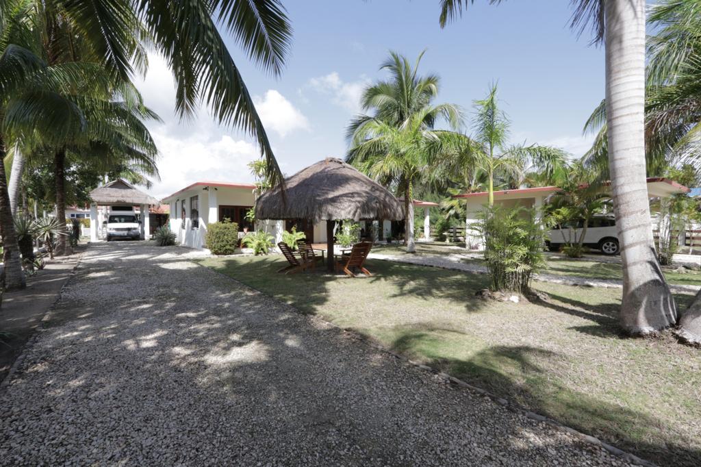 listing image with ID 99711