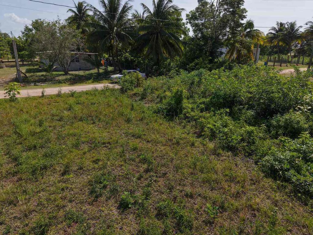 listing image with ID 102190
