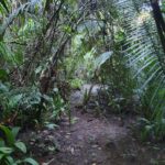 listing image thumbnail with ID 78444