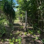 listing image thumbnail with ID 76887