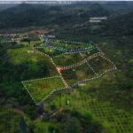 listing image thumbnail with ID 101908