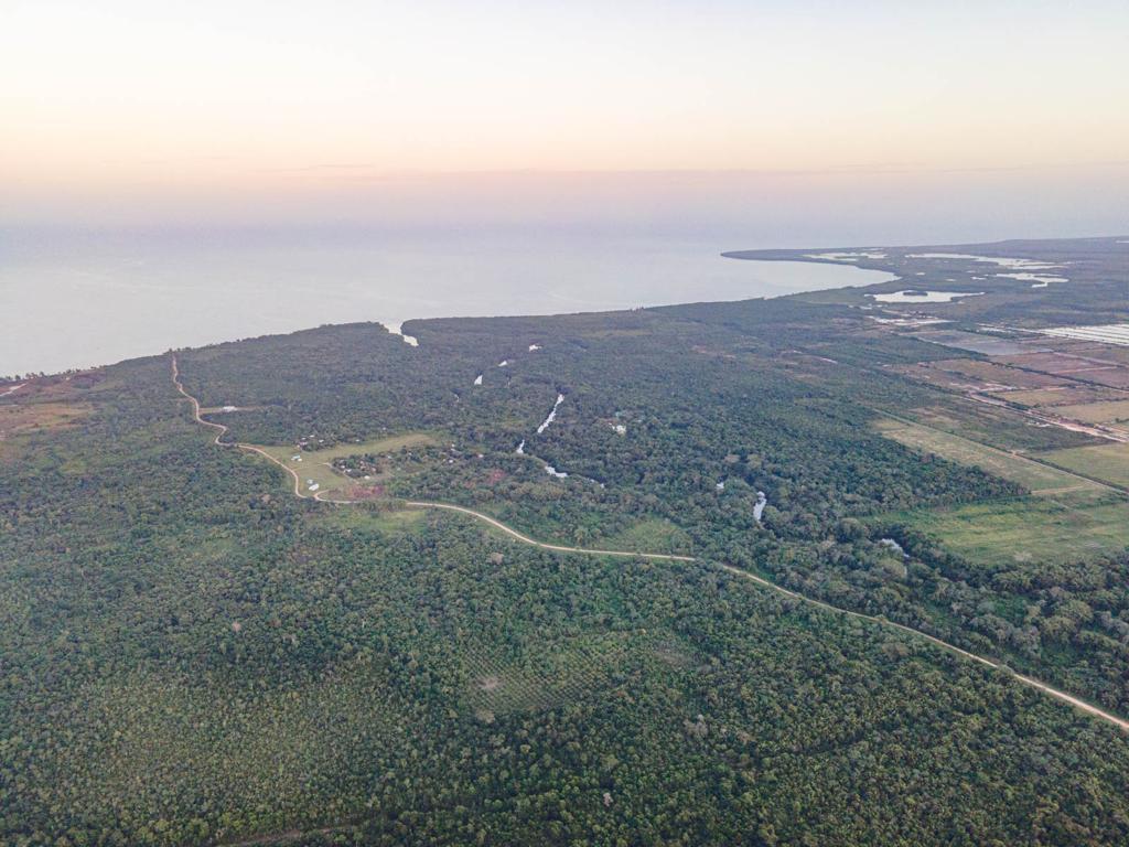 listing image with ID 94437