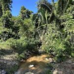 listing image thumbnail with ID 109082