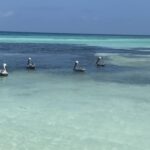listing image thumbnail with ID 76434