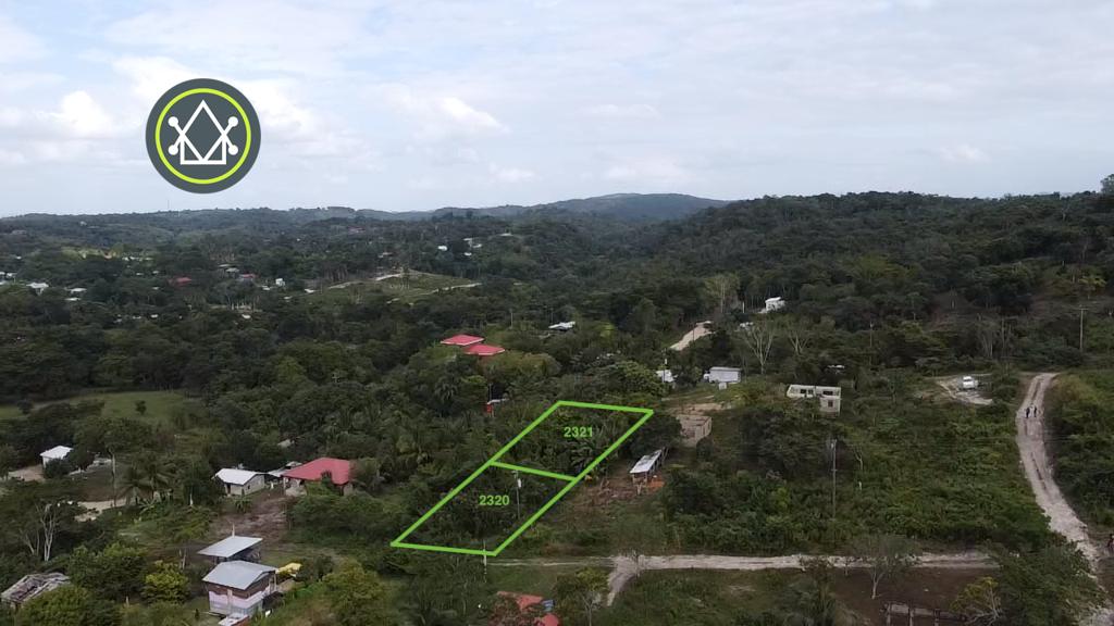 listing image with ID 91153