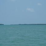 listing image thumbnail with ID 84717