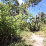 listing image thumbnail with ID 83117