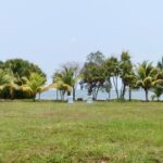 listing image thumbnail with ID 93463