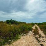 listing image thumbnail with ID 91340