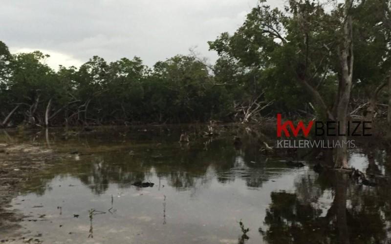 listing image with ID 103364