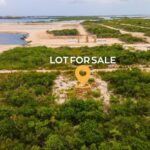 listing image thumbnail with ID 91336
