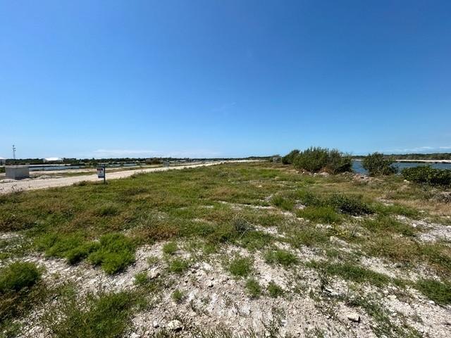 listing image with ID 101987