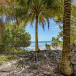 listing image thumbnail with ID 94333