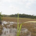 listing image thumbnail with ID 95527