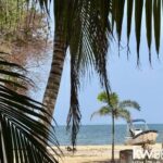 listing image thumbnail with ID 87051