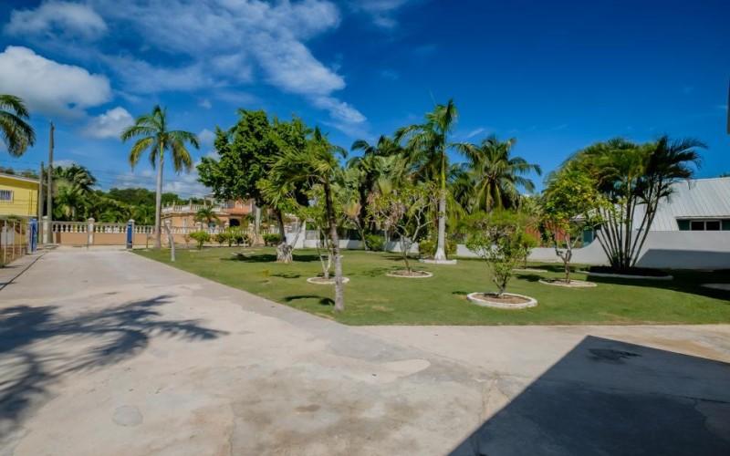 listing image with ID 106825