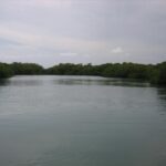 listing image thumbnail with ID 87362