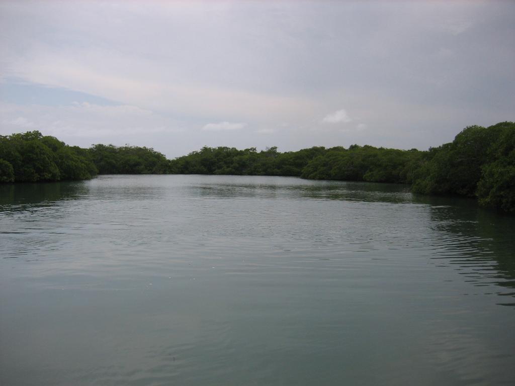 listing image with ID 87362