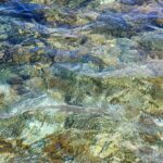 listing image thumbnail with ID 88191