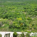 listing image thumbnail with ID 95431