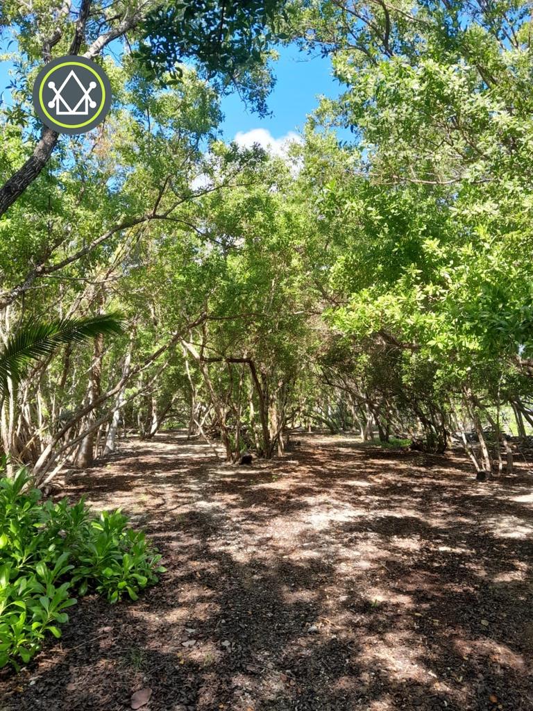 listing image with ID 101606