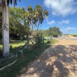 listing image thumbnail with ID 87123