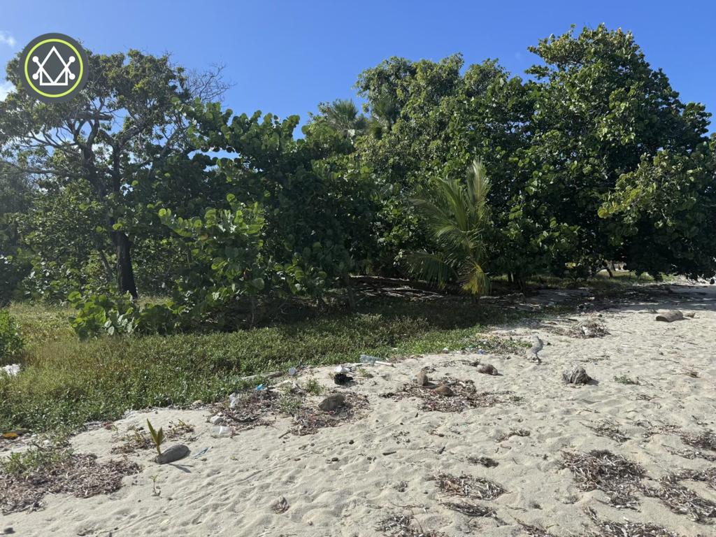 listing image with ID 86504