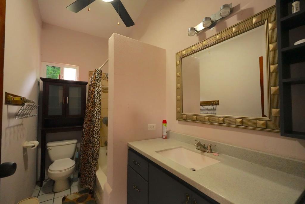 listing image with ID 101350