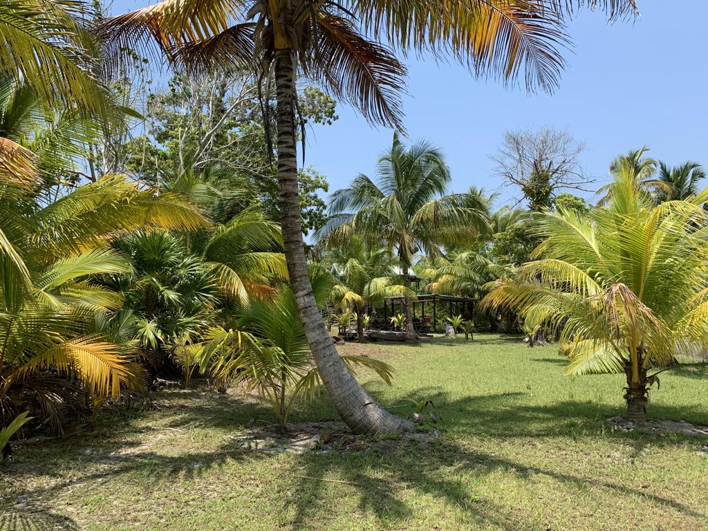 listing image with ID 102743
