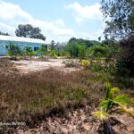 listing image thumbnail with ID 98624
