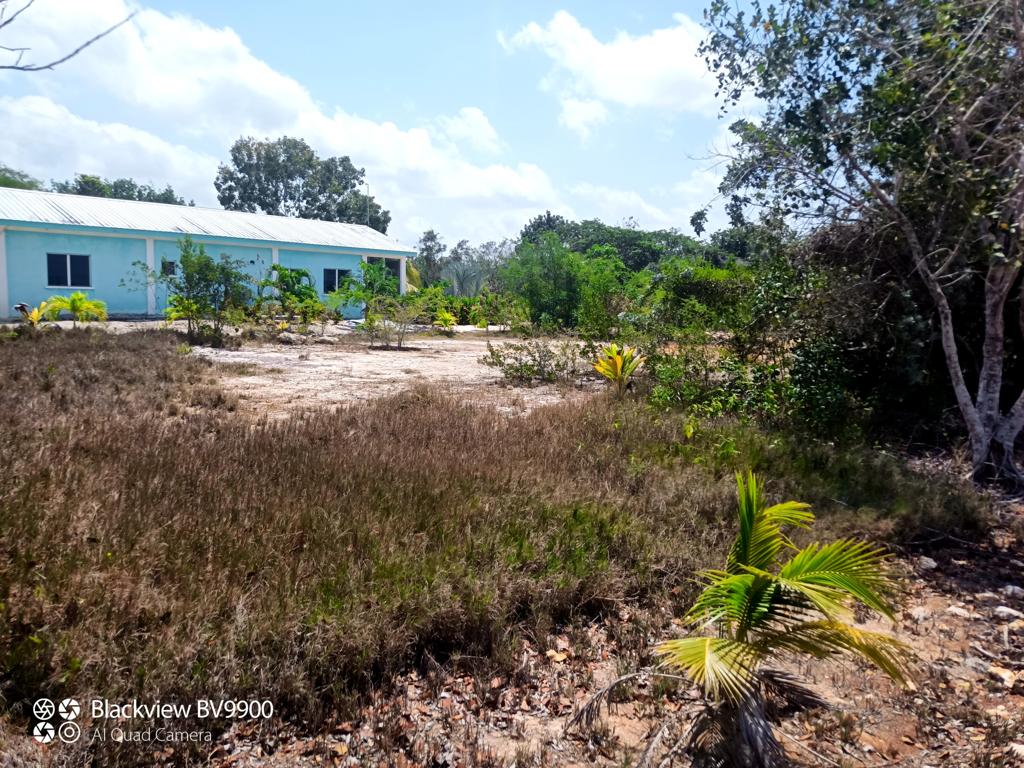 listing image with ID 98624