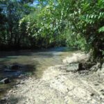 listing image thumbnail with ID 98958