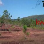 listing image thumbnail with ID 84565