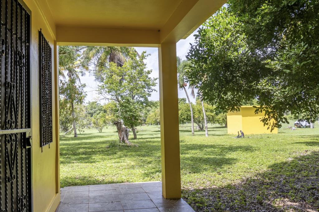 listing image with ID 92168