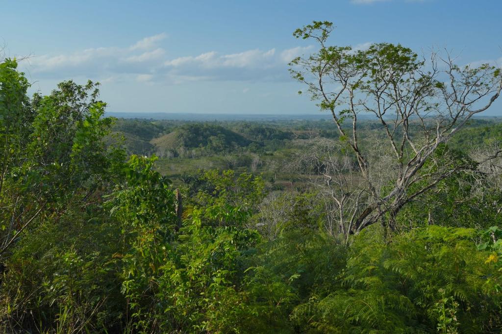 listing image with ID 90803